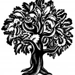 Abundance : 5" x 4" : Inks on scratchboard : Private Collection