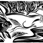 Awakening : 12" x 6" : Inks on scratchboard : Private Collection