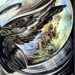 After Life : Detail-owl wing