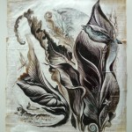 Nature's Calling 1 : 12" x 16" : Inks, kaolin clay on papyrus