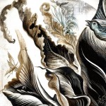 Nature's Calling : Detail-moths